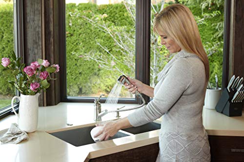 Bainbridge Pull Out Kitchen Faucet (Chrome) by Pacific Bay - This Beautiful Upgrade Features a Dual Setting Sprayer and Swivel Spout