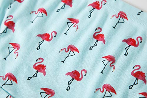 Cadidi Dinos Girls' 100% Cotton Panties Baby Toddler Soft Underwear Kids Briefs (Pack of 6) Size 2T 3T