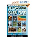A Field Guide to Yellowstone and Grand Teton National Parks