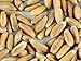 Organic Spelt: 35 Lbs - Non-GMO Grain Seeds - Flour, Bread, Baking, Cooking, Food Storage, Sprouting, Spelt Grass
