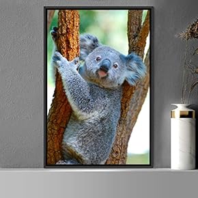 signwin Framed Canvas Wall Art Koala Animals Expressive...