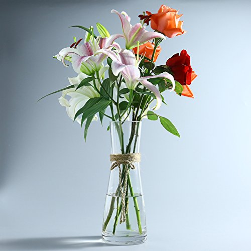 Amazon Com Jinbao Tall Glass Vases Decorative Flower Vases With
