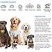 AngelaKerry Wireless Dog Fence System with GPS, Outdoor Pet Containment System Rechargeable Waterproof Collar EF 851S Remote for 15lbs-120lbs Dogs (1pc GPS Receiver by 1 Dog, Yellow)thumb 2