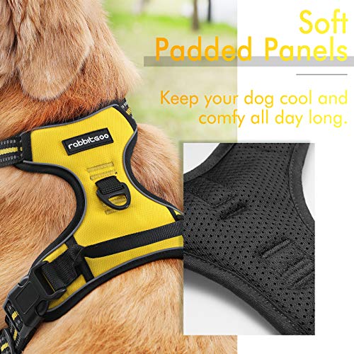 rabbitgoo Dog Harness, NoPull Pet Harness with 2 Leash Clips
