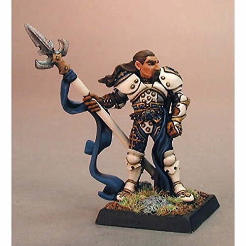Lord Ironraven Crusader Captain Miniature 25mm Heroic Scale Warlord Reaper Miniatures