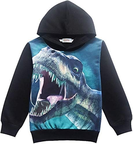 trendy boys hoodies