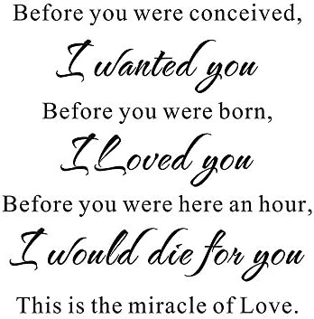 Everysticker4u Before you were conceived, I wanted you Home Bedroom Mural DIY Quote Saying Baby Nursery Vinyl Wall Sticker Decals Transfer Removable Words Lettering (Size2: 22.8" x 22.8")