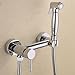 HANEBATH Brass Toilet Bidet Sprayer Set with Hot and Cold Mixing Valve with Hose ,Chrome
