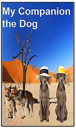 big country cane corso