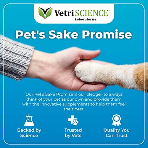 VETRISCIENCE Composure Calming Treats for Cats Helps Reduce Stress