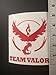 Team Valor Vinyl Decal MultiPack (Pokemon Go Inspired)