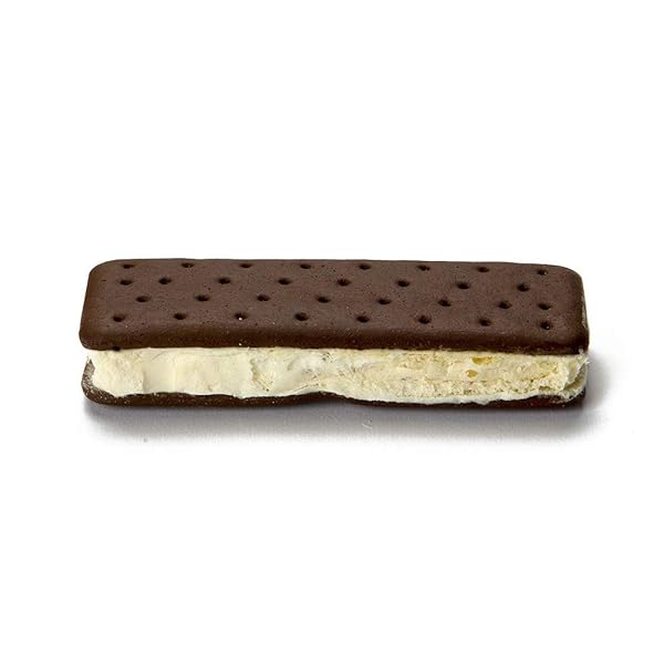 ASTRONAUT FOODS FREEZE-DRIED ICE CREAM SANDWICH, NASA SPACE DESSERT, VANILLA, 1 COUNT