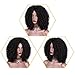 ENTRANCED STYLES Synthetic Curly Wig For Women Kinky Afro Wigs for Black Women Full Wigs Heat Resistant Fiber (280g 14
