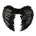 Dazone Black Angel Feather Wings Costume