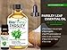 BioFinest Parsley Leaf Oil - 100% Pure Parsley Leaf Essential Oil -Help to Detox Body, Relieve Indigestion and Nausea - Premium Quality - Therapeutic Grade - Best For Aromatherapy - FREE E-Book (10ml)