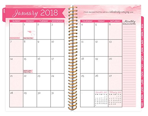 image for bloom daily planners 2018 Calendar Year Daily Planner - Passion/Goal O