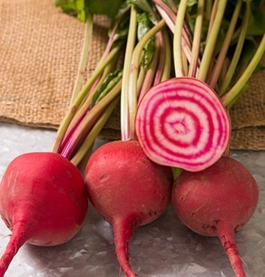 David's Garden Seeds Beet Chioggia Guardsmark D025 (Red, White) 200 Organic Heirloom Seeds David's Garden Seeds Beet Chioggia Guardsmark D025 (Red, White) 200 Organic Heirloom Seeds