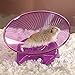Ware Manufacturing Flying Saucer Exercise Wheel for Small Pets, 7 1/4-Inch - Colors May Vary