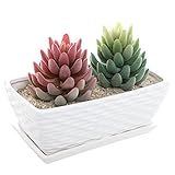 8 inch Rectangular White Ceramic Wavy Ribbed Textured Succulent Planter / Small Flower Holder Display Pot