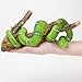 Bits and Pieces - Snake on a Branch Tree Hugger - Outdoor Home Décor Tree Statue - 11