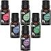 Bel Air Naturals Aromatherapy Top 6 Essential Oils Set - 100% Pure Therapeutic Grade - Peppermint/Tea Tree/Rosemary/Lavender/Eucalyptus/Frankincense - Best For Oil Diffuser, Massage