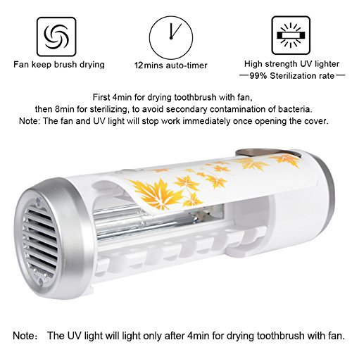 Bluesky Electric toothbrush holder, Toothbrush Sanitizer with Toothpaste Holder- Fit 5 Toothbrush(Maple Leaf Style)