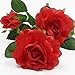 Anordsem Rose Lights Solar Powered for Women: Garden Light Waterproof for Yard Decorations Outdoor - Flower Lamp Colorful Lighting Cemetery Decor - Valentine's Mother's Day Gifts for Mom Wife