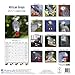 African Grey Calendar - African Grey Parrot Calendar - Parrot Calendar - Calendars 2016 - 2017 Wall Calendars - Bird Calendars - Monthly Wall Calendar by Avonside