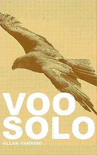 Livro Voo Solo