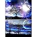 5D Diamond Painting,Rhinestone Diamond Embroidery Paintings Pictures DIY Paint with Diamonds Arts Craft for Home Wall Christmas Decor 30 x 40 cm Full Drill (Tree 2pcs)