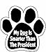 Imagine This My Dog is Smarter Than The President Paw Car Magnet, 5-1/2-Inch by 5-1/2-Inch