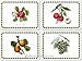 Pimpernel Pomona Placemats - Set of 4 (Large)
