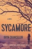 Sycamore: A Novel
