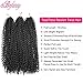 Passion Twist Hair Black Water Wave Crochet Hair 6 Packs Curly Bohemian Hair For Crochet Passion Twists Pre Stretched Crochet Braiding Hair Crochet Braids Synthetic Hair Extension(18inch,1B#)