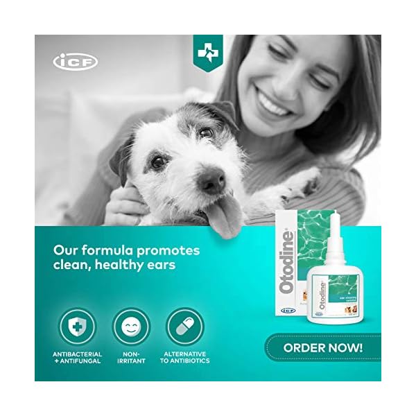 otodine dogs