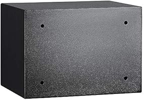 AmazonBasics - Caja fuerte (14L), color negro: Amazon.es: Bricolaje y herramientas