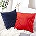 shengyu Luxurious Velvet Throw Pillow Cases, Set of 2 Decorative Case Sets, Square Pillow Covers, Soft Pillowcases for Living Room, Bedroom, Couch, Sofa, Bed, 18x18 (red)