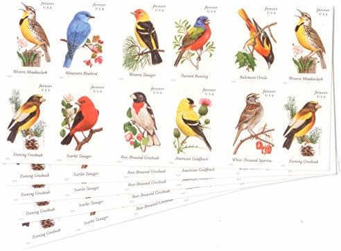 USPS Forever Stamps Songbirds, 100 Stamps (5 Booklets of 20)