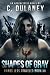 Shades of Gray (Roads Less Traveled Book 3)