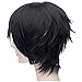 Flovex Short Straight Anime Cosplay Wigs Natural Sexy Costume Party Daily Hair (Black 1)