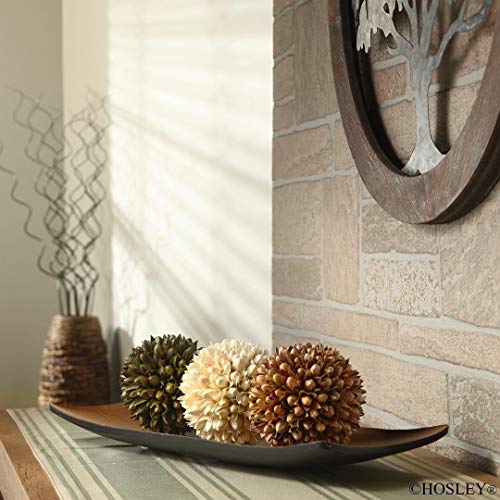 Hosley Decorative Bowl/Tray and Floral Orb/Ball Set. for Orbs, Dried