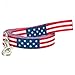 American Flag Dog Leash (Large)
