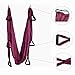 EverKing Aerial Yoga Straps Trapeze - Antigravity Yoga Swing/Sling/Inversion Tool,Air Flying Yoga Hammock Belt Fitness Swing Hammock for Yoga Inversion Exercises (Purple)