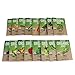 16 Assorted Fruit Seeds and Vegetable Seeds Variety Pack for Indoor and Outdoor Garden - Certified Organic Non-GMO Variety Pack Garden Seeds, Heirloom Fruit Seed and Vegetable Seed for Planting