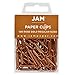JAM Paper Colored Standard Paper Clips - Small - Rose Gold - 100/pack