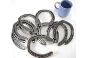 CARVERS OLDE IRON Carver's Olde Iron 10 Piece Horseshoes for Crafts and Decorations – Cast Iron Rustic Horseshoes Set