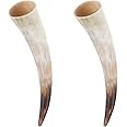 YARNOW 2pcs Horn Vase Farmhouse Horn Wall Decor Animal Horn Wall Decor Wall Vase Sconce Cow Horn Wall Sculpture Cow Horn Flower Holder Flower Hanging Vase Air Horn Horns Truck Accessories