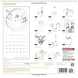Image de Animalistic! - illustrations by Ronit Wolf 2016: Animalistic! is a hand drawn compendium of living and mythical creatures. (Calvendo Animals)