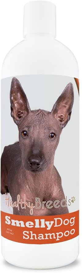 non stinky stuff for dogs amazon