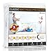 CALM NITE Queen Mattress Protector - Vinyl Free Topper - Waterproof Mattress Protector - Machine Washable Mattress Cover (Queen 60 x 80)